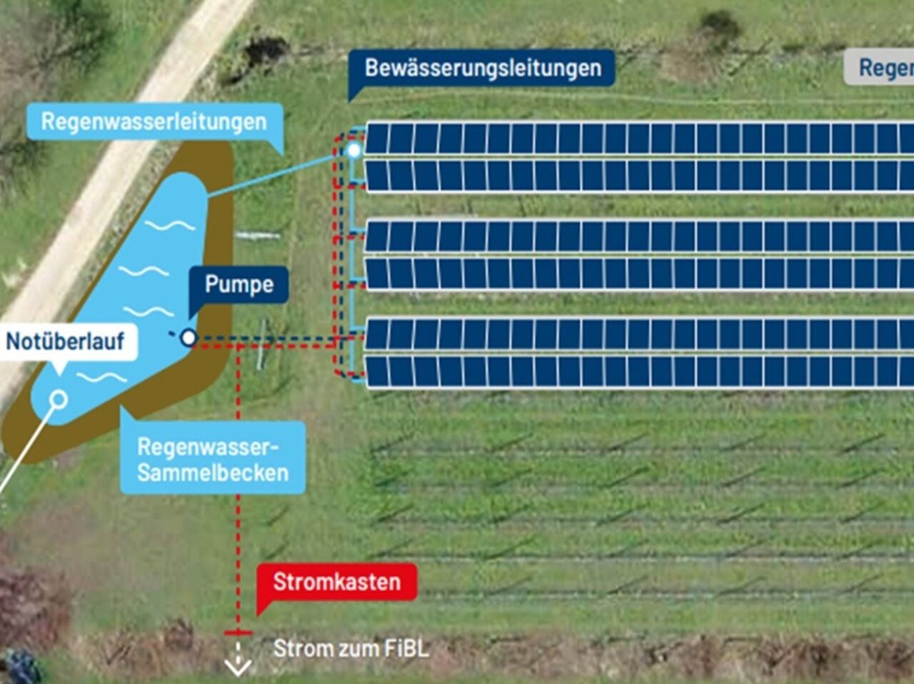Nahrung und Strom vom gleichen Feld